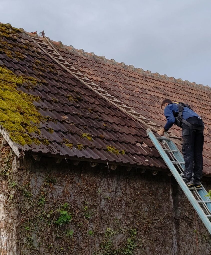 Grattage manuel de mousse sur toiture en tuiles avant traitement anti-mousse